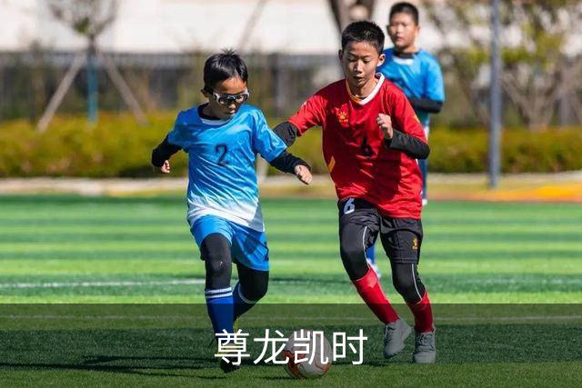 尊龙凯时公司简介图片